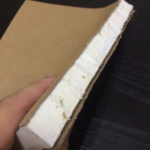 f:id:miapom618:20160221093957j:plain f:id:miapom618:20160221093957j:plain
