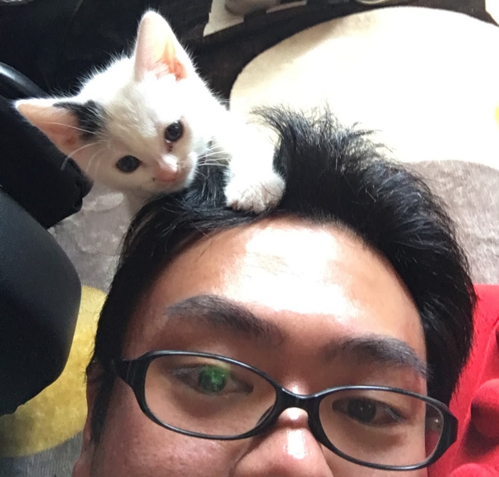 f:id:miapom618:20170122004740j:plain