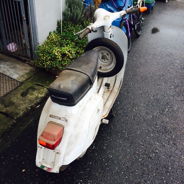 Evernote Camera Roll 20141103 1618.jpg