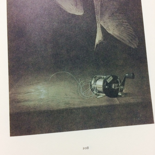 Evernote-Camera-Roll-20150115-212110 2.jpg