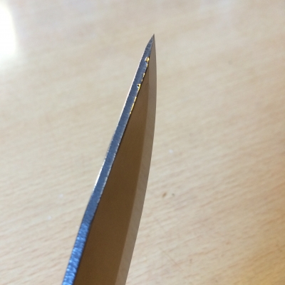 Evernote-Camera-Roll-20150128-082915 2.jpg
