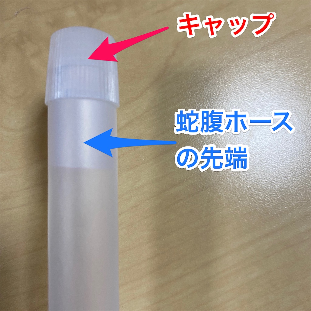 f:id:miapom618:20200517183934j:plain f:id:miapom618:20200517183934j:plain