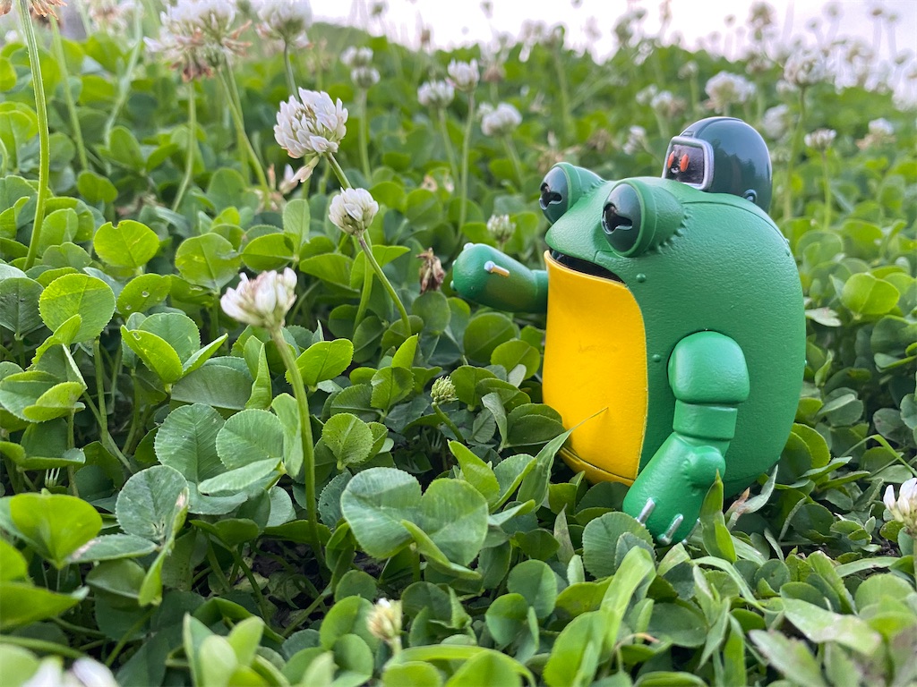 機械両生類型VINYL TOYS みんなのともだち。ケローネン」 - みあぽん