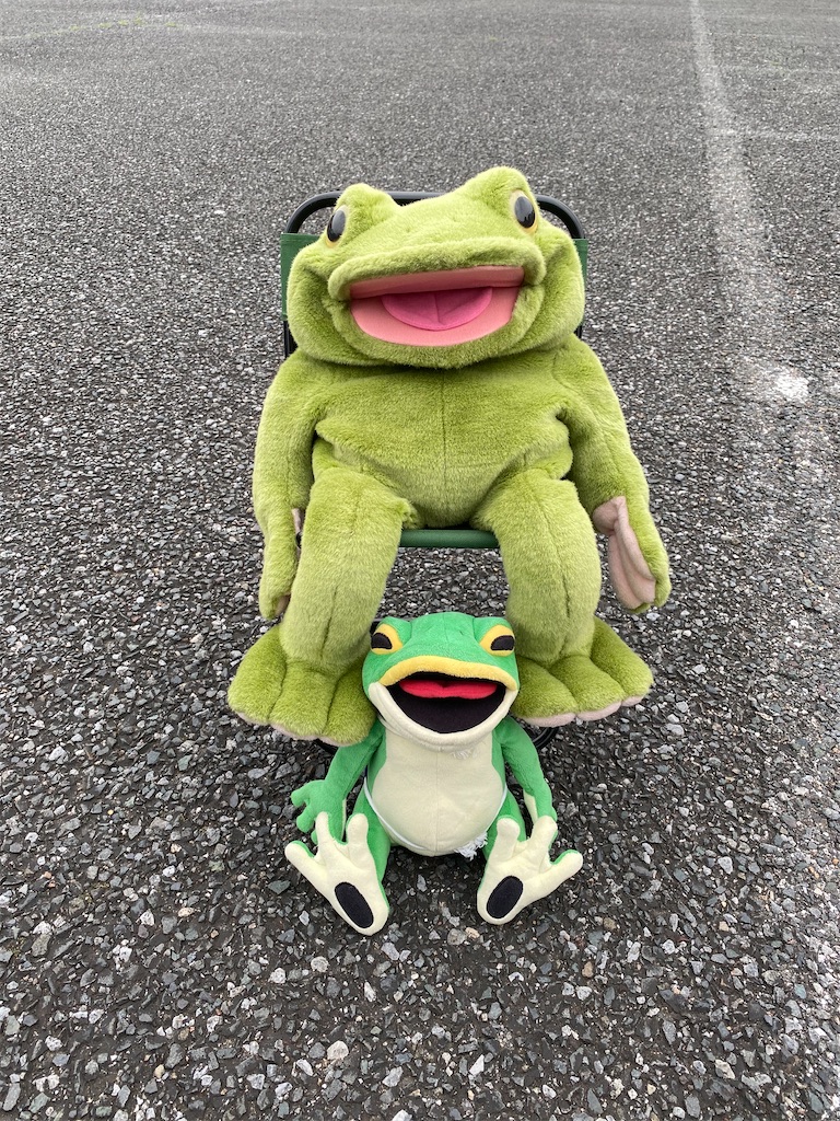 トイザらスで買ったカエルのぬいぐるみ（アニマルアレイ）を痩せ
