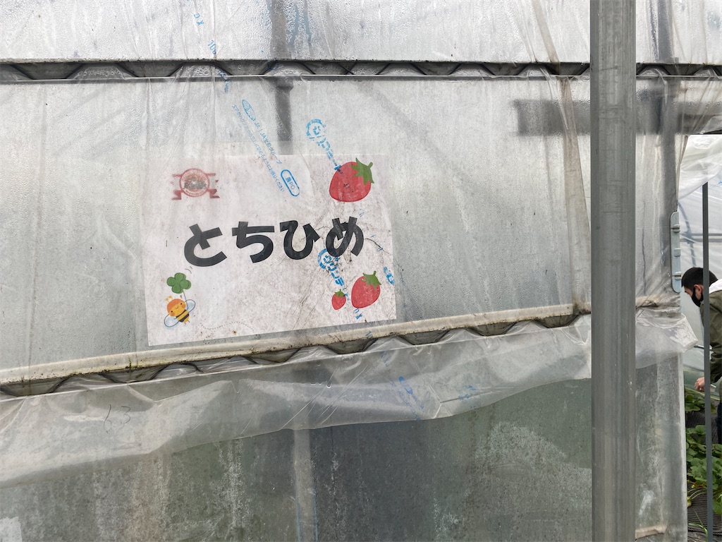 f:id:miapom618:20210117161411j:image