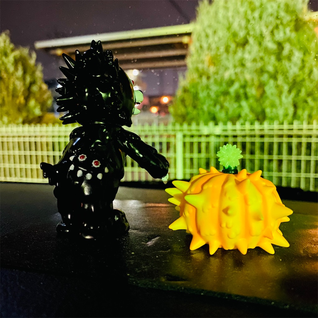 f:id:miapom618:20210310232446j:image