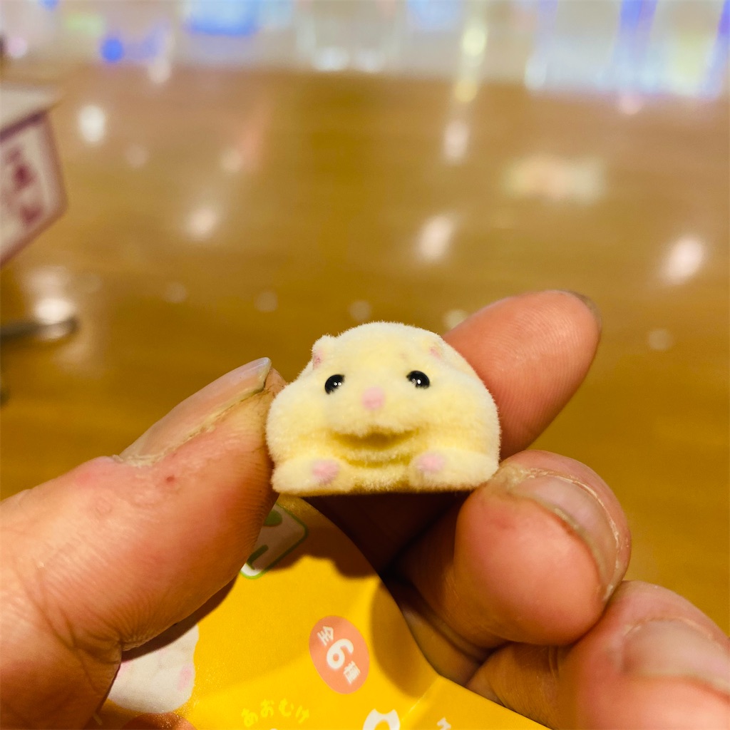 またもyell かじられたくないけどかじらせたい ケーブルかじかじハムスター カプセルトイ みあぽんねっと