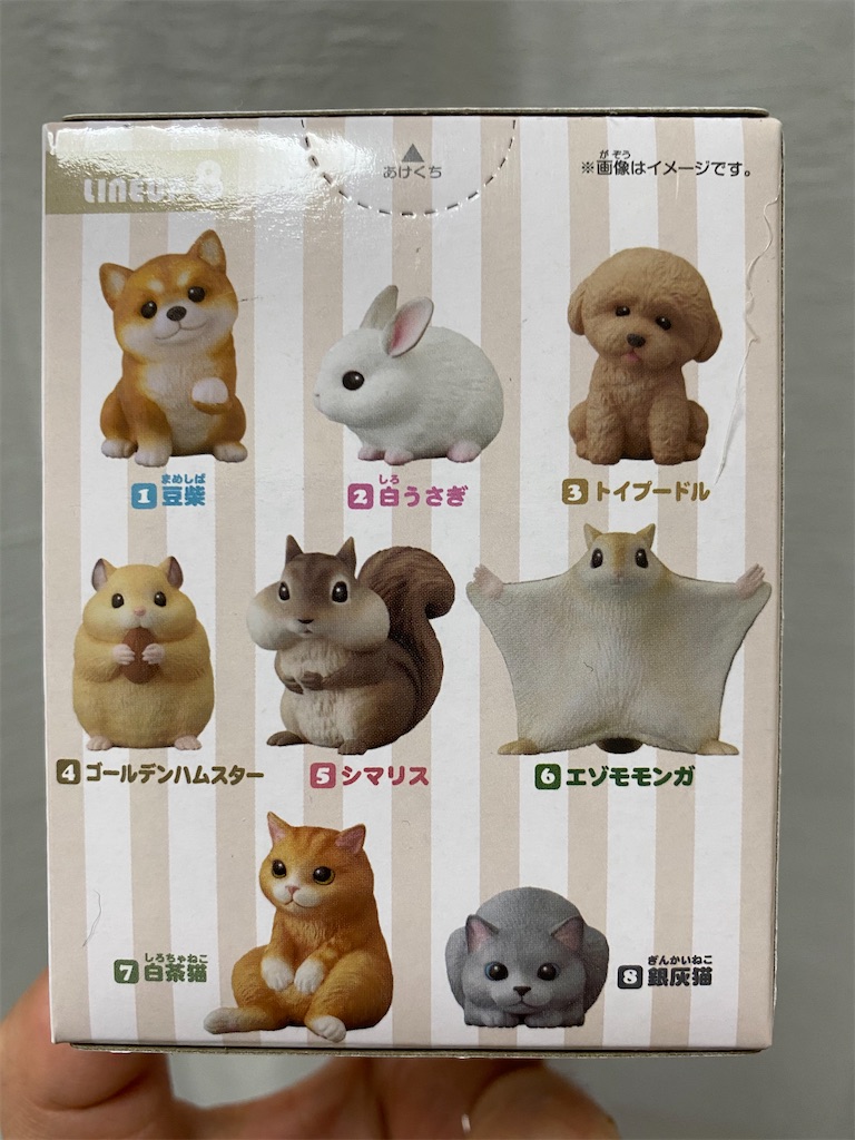 f:id:miapom618:20210310233205j:image