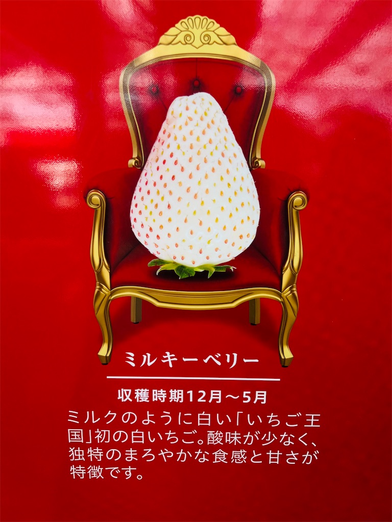 f:id:miapom618:20220320235647j:image