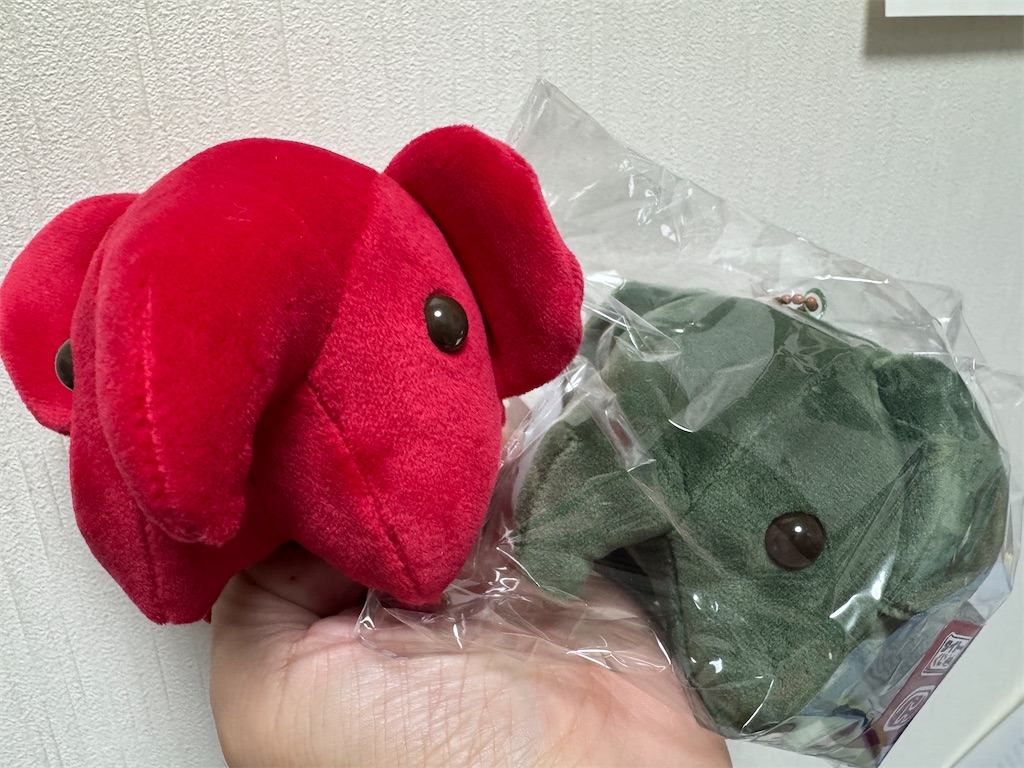 f:id:miapom618:20250105230715j:image