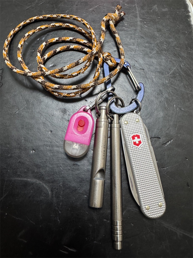 2本目のSpyderco スパイダルコ MANBUG「マンバグ」 - みあぽん