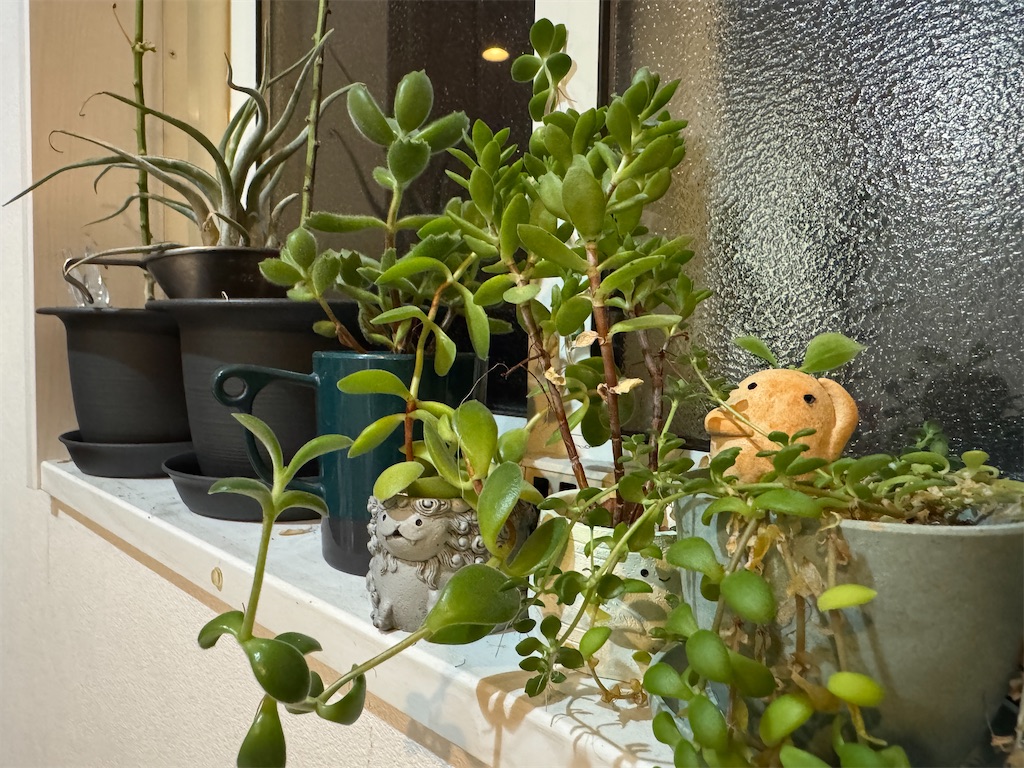 f:id:miapom618:20251214215128j:image