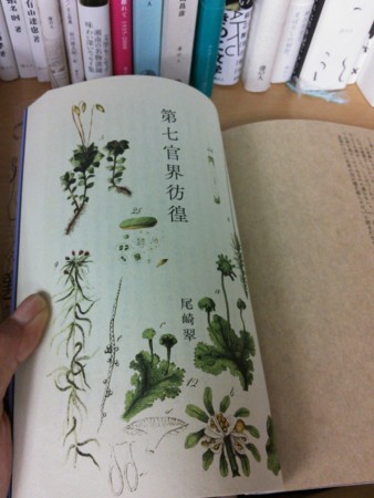 胞子文学名作選』（田中美穂編）の内容について - 港の人日記