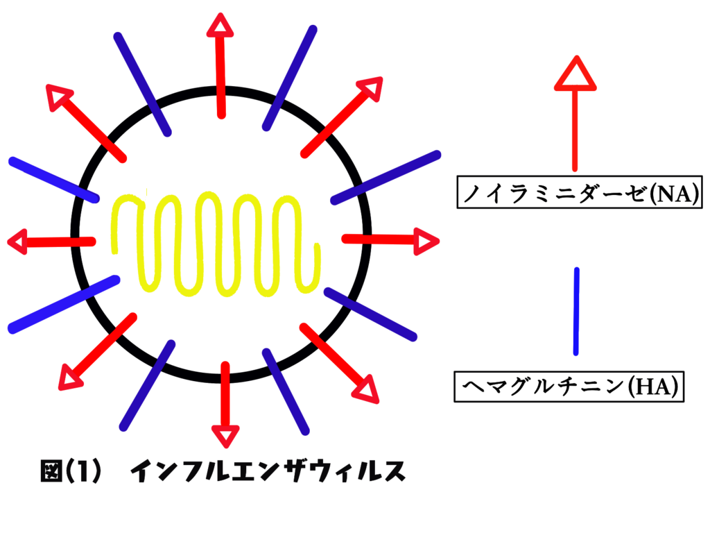 f:id:mibetoru:20190110003155p:plain