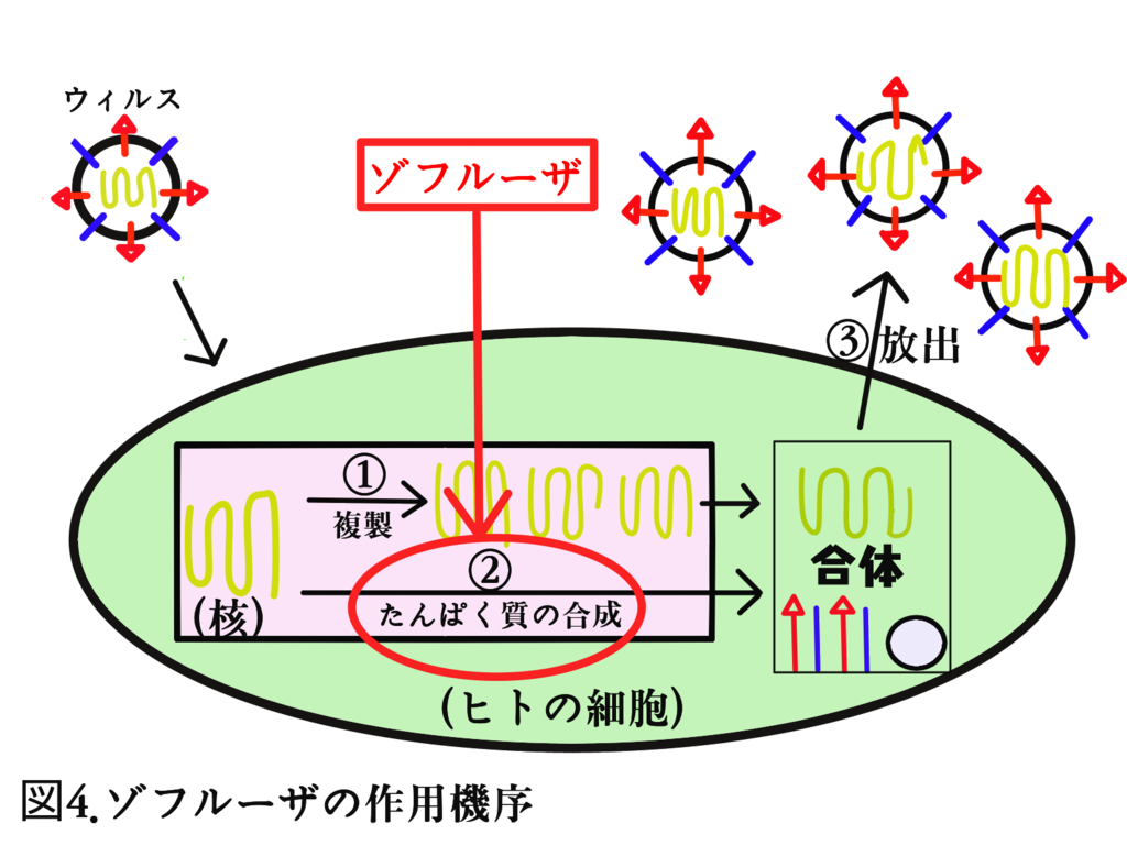 f:id:mibetoru:20190120184404p:plain