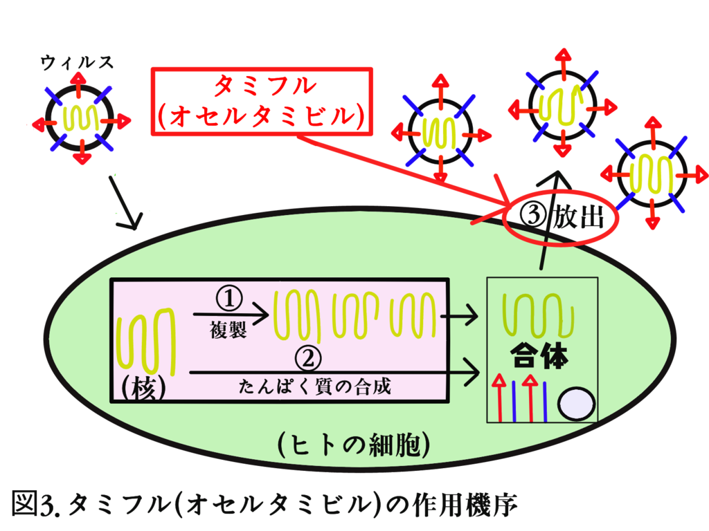 f:id:mibetoru:20190120185228p:plain