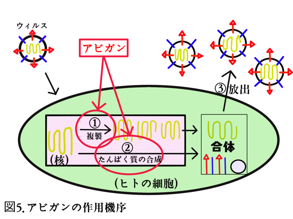 f:id:mibetoru:20190120203956p:plain