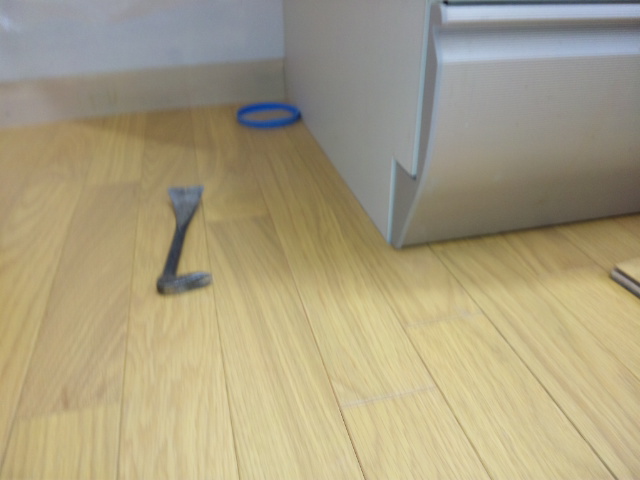 イメージ 6