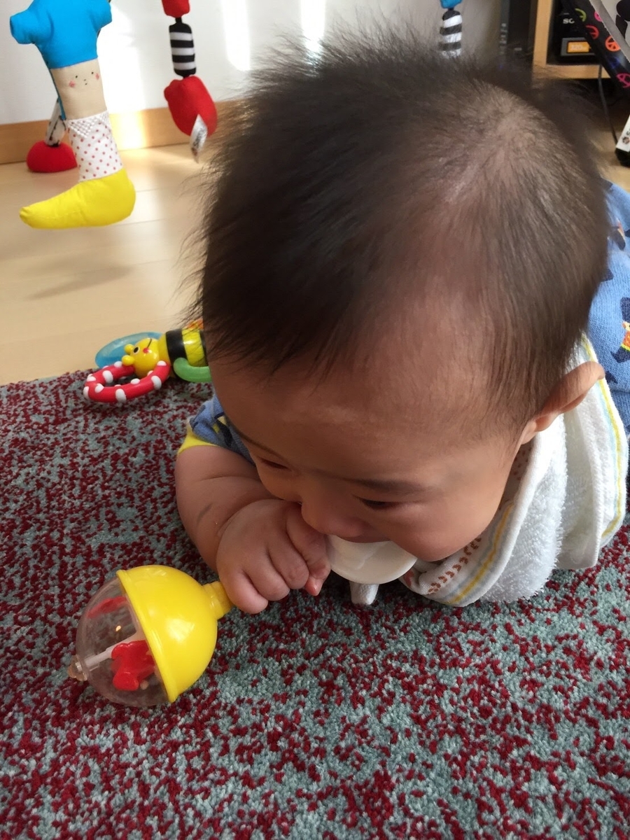 f:id:mica:20190425212121j:plain f:id:mica:20190425212121j:plain
