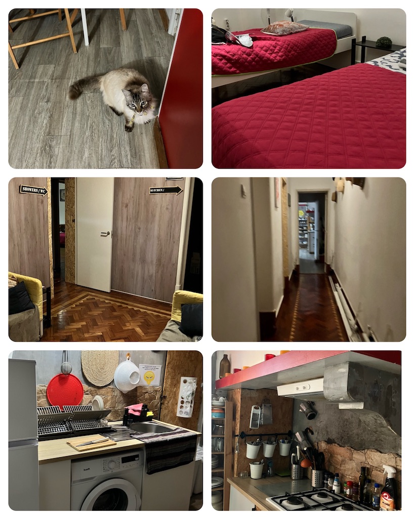 f:id:mica_ueda:20250528174257j:image f:id:mica_ueda:20250528174257j:image