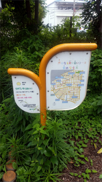 Dohkan Park (2) f:id:micalaud:20190804160304j:plain