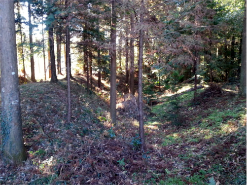 Remain of Castle (2019-1) f:id:micalaud:20200308143534j:plain