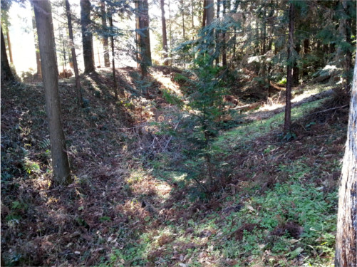 Remain of Castle (2019-2) f:id:micalaud:20200308143931j:plain