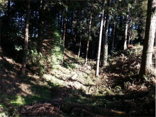 Remain of Castle (2019-3) f:id:micalaud:20200308143946j:plain