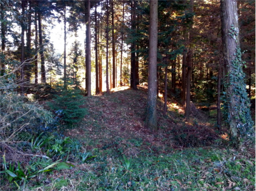 Remain of Castle (2019-4) f:id:micalaud:20200308144002j:plain