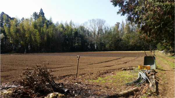 Remain of Castle (2020-1) f:id:micalaud:20200308165652j:plain