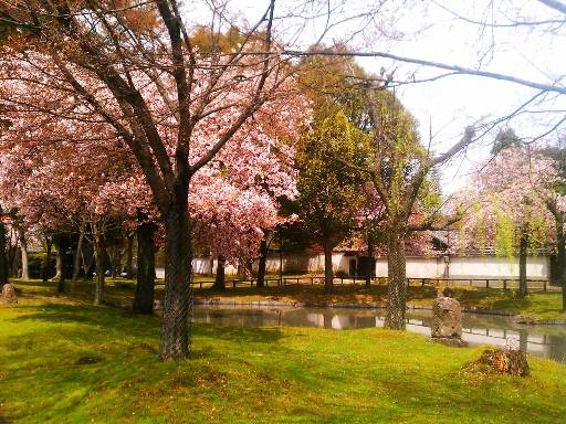 f:id:mican223:20120415130843j:image:w360 f:id:mican223:20120415130843j:image:w360