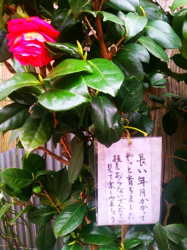 f:id:mican223:20120415155059j:image:w360 f:id:mican223:20120415155059j:image:w360