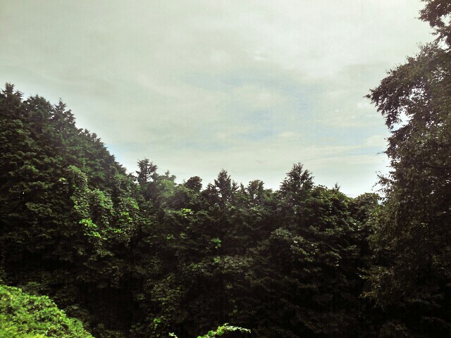 f:id:micax:20160927222819j:plain f:id:micax:20160927222819j:plain