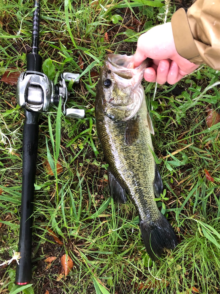 f:id:micbbfishing:20210509012717j:image