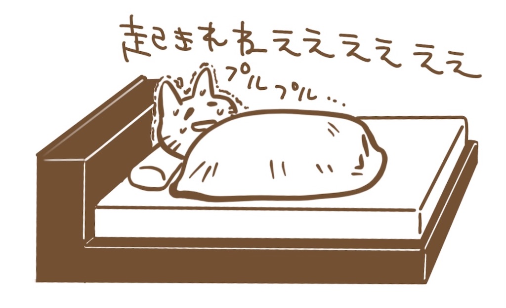 f:id:miccak:20210105231852j:image