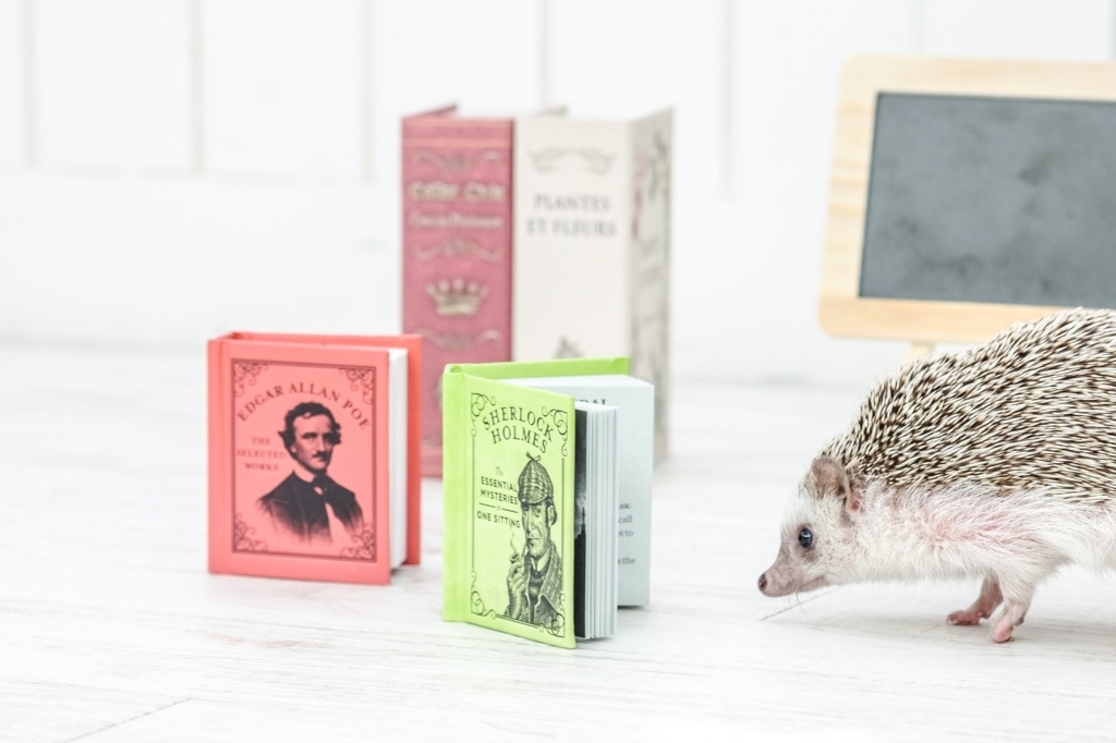 f:id:micchaaaaa:20180729200112j:plain