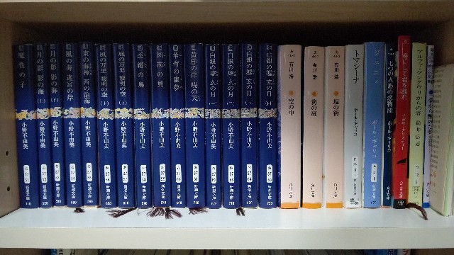 f:id:micchi-blog:20201230234243j:image