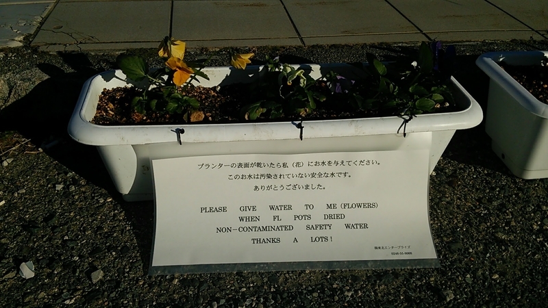 f:id:micchi-blog:20210309200810j:plain