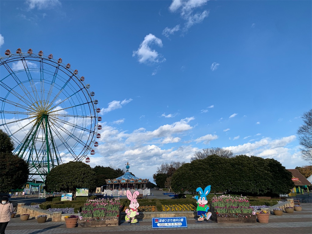ネモフィラで有名なひたち海浜公園の駐車場まとめとレンタサイクルやシーサイドトレインについても 旅のプランはこれで決まりブログ ネモフィラで有名なひたち海浜公園の駐車場まとめとレンタサイクルやシーサイドトレインについても 旅のプランはこれで決まりブログ