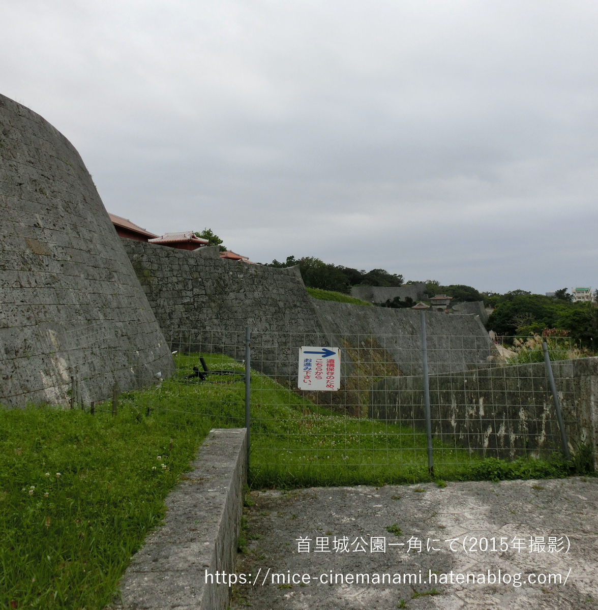 f:id:mice_cinemanami:20191104221418j:plain f:id:mice_cinemanami:20191104221418j:plain