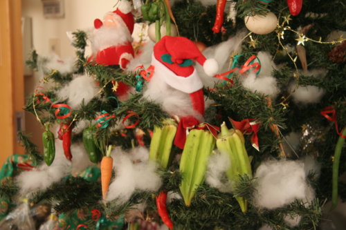 f:id:mich_katz:20081129112337j:image f:id:mich_katz:20081129112337j:image
