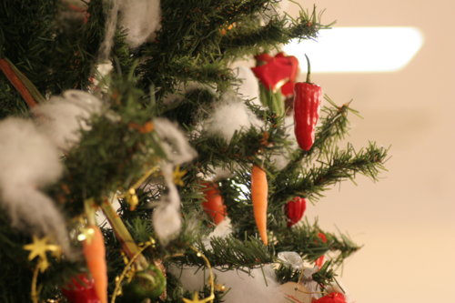 f:id:mich_katz:20081129113207j:image f:id:mich_katz:20081129113207j:image