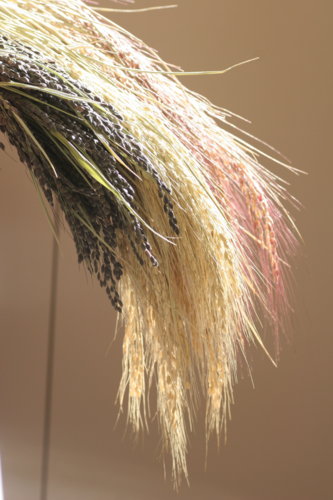 f:id:mich_katz:20081130122415j:image f:id:mich_katz:20081130122415j:image