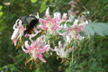 20100730112815