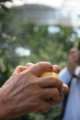 20100902193601