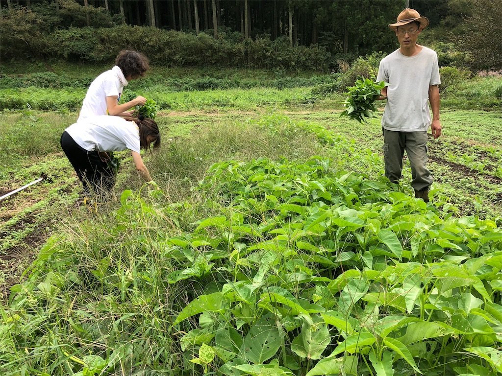 f:id:mich_katz:20181007134910j:image