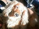 f:id:michamama:20100213144058j:image f:id:michamama:20100213144058j:image