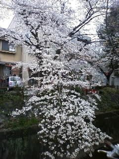 f:id:michamama:20100331110152j:image f:id:michamama:20100331110152j:image