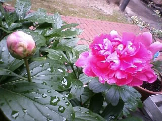 f:id:michamama:20100603152729j:image f:id:michamama:20100603152729j:image