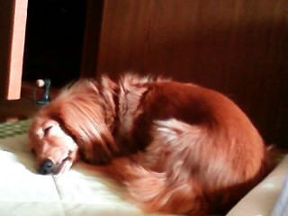 f:id:michamama:20100608132751j:image f:id:michamama:20100608132751j:image